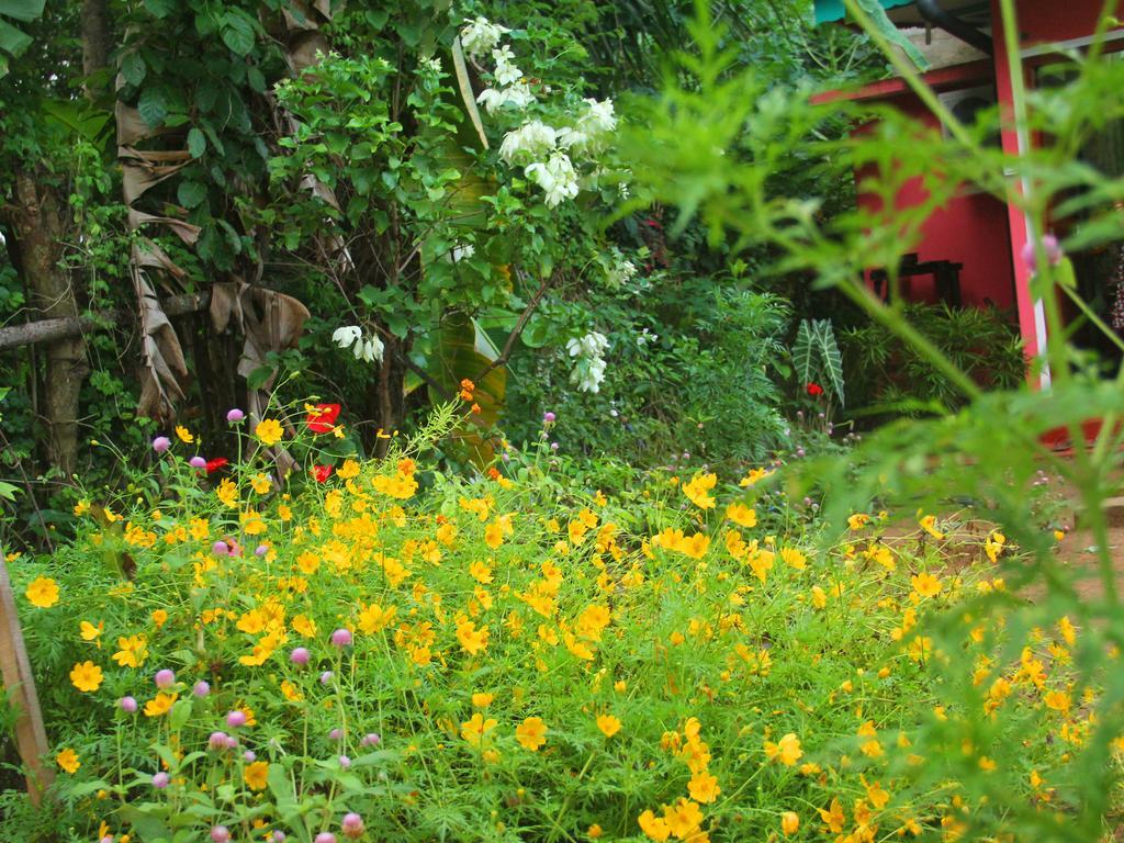 Apartament Little Pink House Mirissa Pokój zdjęcie