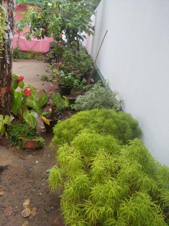 Apartament Little Pink House Mirissa Zewnętrze zdjęcie